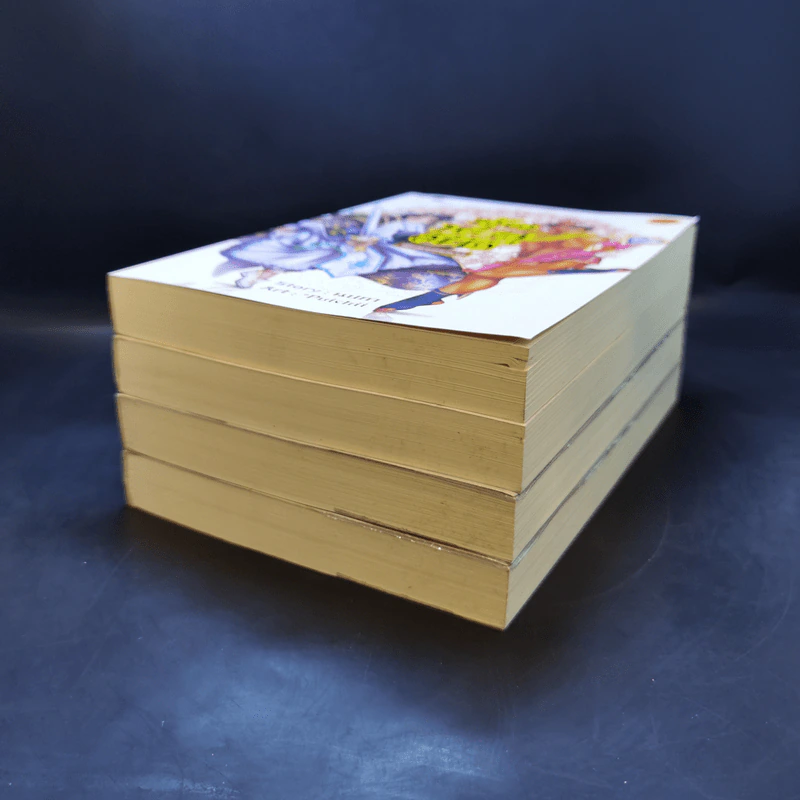 ตุ๊ดทะลุมิติ (พิภพจอมนาง) เล่ม 1-4 - นปภา รูปที่ 6
