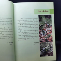 ปาล์มและปรงในป่าไทย - พูนศักดิ์ วัชรากร รูปที่ 10