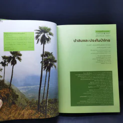 ปาล์มและปรงในป่าไทย - พูนศักดิ์ วัชรากร รูปที่ 9