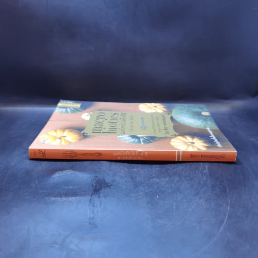 แมคโครไบโอติกส์ II Macro Biotics II - สิทรา พรรณสมบูรณ์ รูปที่ 3