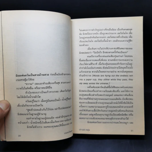 กระทบไหล่เขา - ปราบดา หยุ่น รูปที่ 12