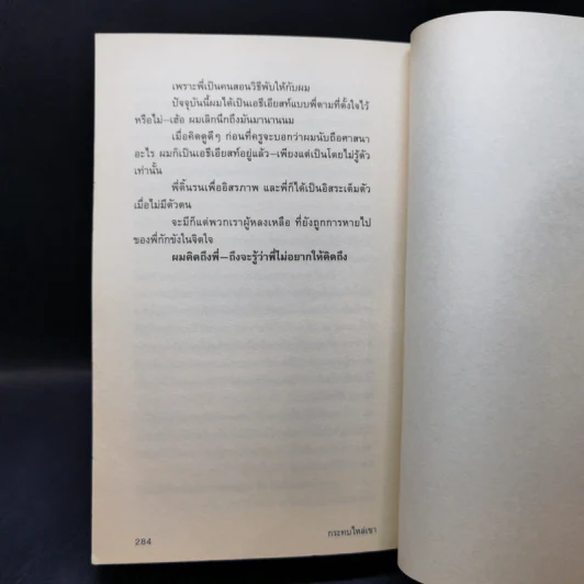 กระทบไหล่เขา - ปราบดา หยุ่น รูปที่ 13