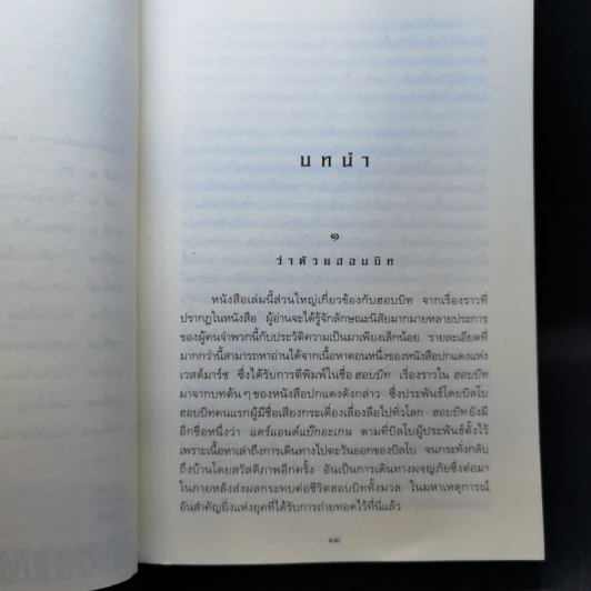 The Lord of the Rings ลอร์ดออฟเดอะริงส์ ตอน มหันตภัยแห่งแหวน รูปที่ 10
