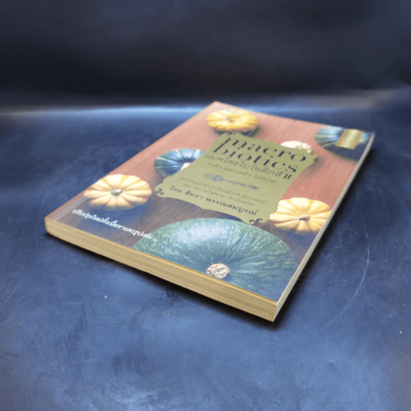 แมคโครไบโอติกส์ II Macro Biotics II - สิทรา พรรณสมบูรณ์ รูปที่ 7