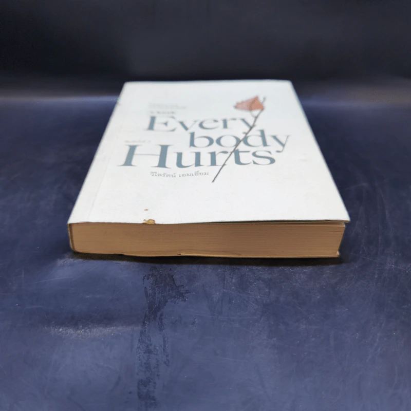 Everybody Hurts - วิไลรัตน์ เอมเอี่ยม รูปที่ 4