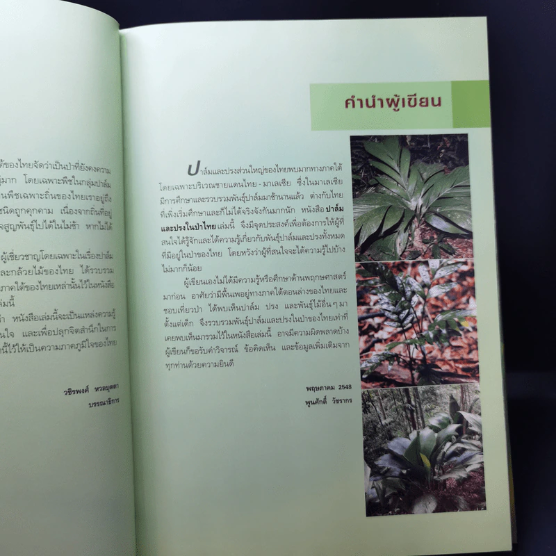 ปาล์มและปรงในป่าไทย - พูนศักดิ์ วัชรากร รูปที่ 10
