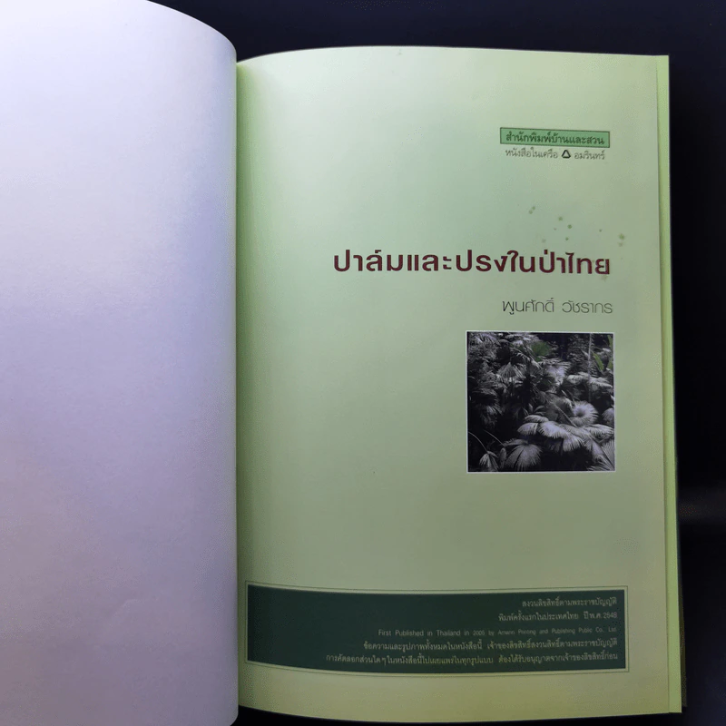ปาล์มและปรงในป่าไทย - พูนศักดิ์ วัชรากร รูปที่ 8