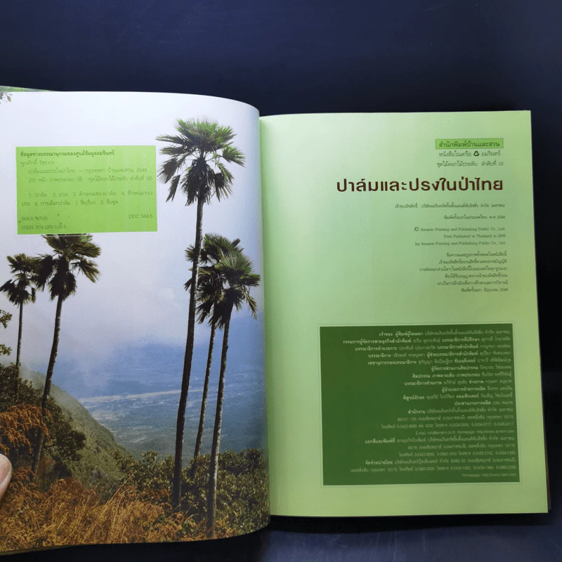 ปาล์มและปรงในป่าไทย - พูนศักดิ์ วัชรากร รูปที่ 9