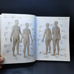 Visual Dictionary English-Chinese-Thai พจนานุกรมภาพถ่าย 3 ภาษา อังกฤษ-จีน-ไทย ฉบับสมบูรณ์ รูปที่ 12