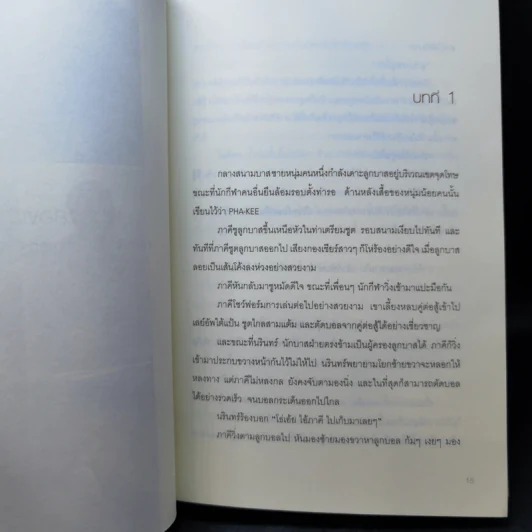 พี่น้อง 2 เลือด - บิ๊ก ดีทูบี Big D2B รูปที่ 11