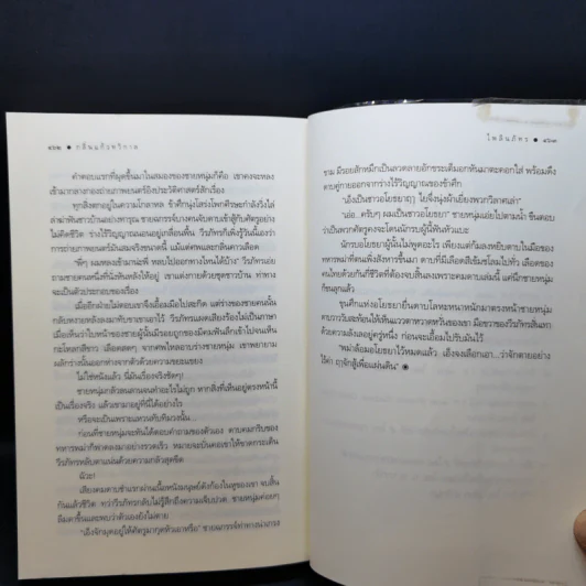 กลิ่นแก้วทวิกาล - ไพลินภัทร รูปที่ 12