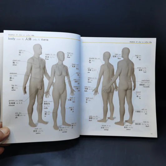 Visual Dictionary English-Chinese-Thai พจนานุกรมภาพถ่าย 3 ภาษา อังกฤษ-จีน-ไทย ฉบับสมบูรณ์ รูปที่ 12