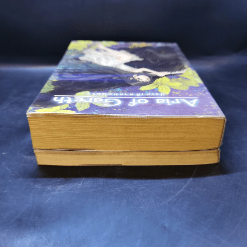 Aria Of Gareth เล่ม 1-2 - Keisei รูปที่ 6