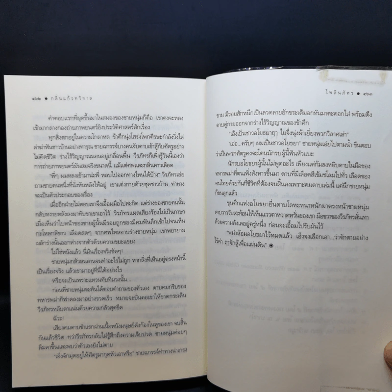 กลิ่นแก้วทวิกาล - ไพลินภัทร รูปที่ 12