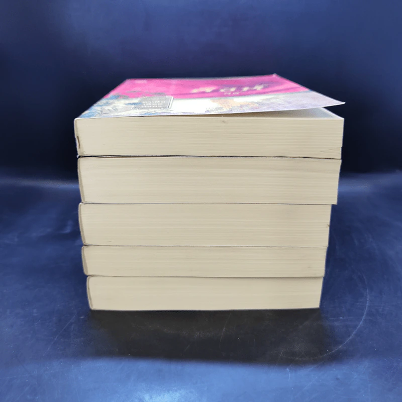 Boxset นิยายชุด มาเฟียเลือดมังกร 5 เล่ม ได้แก่ เสือ สิงห์ กระทิง แรด หงส์ - รพัด, ลิซ, ผักบุ้ง, ลิลลี่สีขาว, เรนนี่ รูปที่ 5