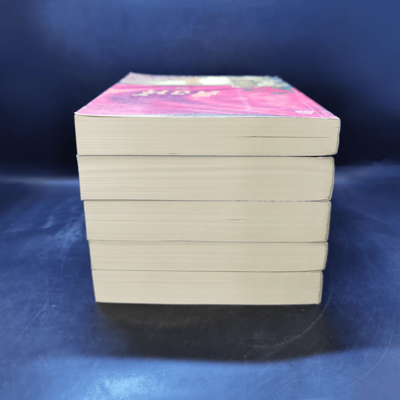 Boxset นิยายชุด มาเฟียเลือดมังกร 5 เล่ม ได้แก่ เสือ สิงห์ กระทิง แรด หงส์ - รพัด, ลิซ, ผักบุ้ง, ลิลลี่สีขาว, เรนนี่ รูปที่ 7