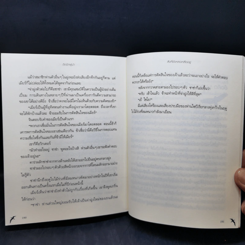 ติดปีกผู้นำ - อันซังฮอน รูปที่ 13