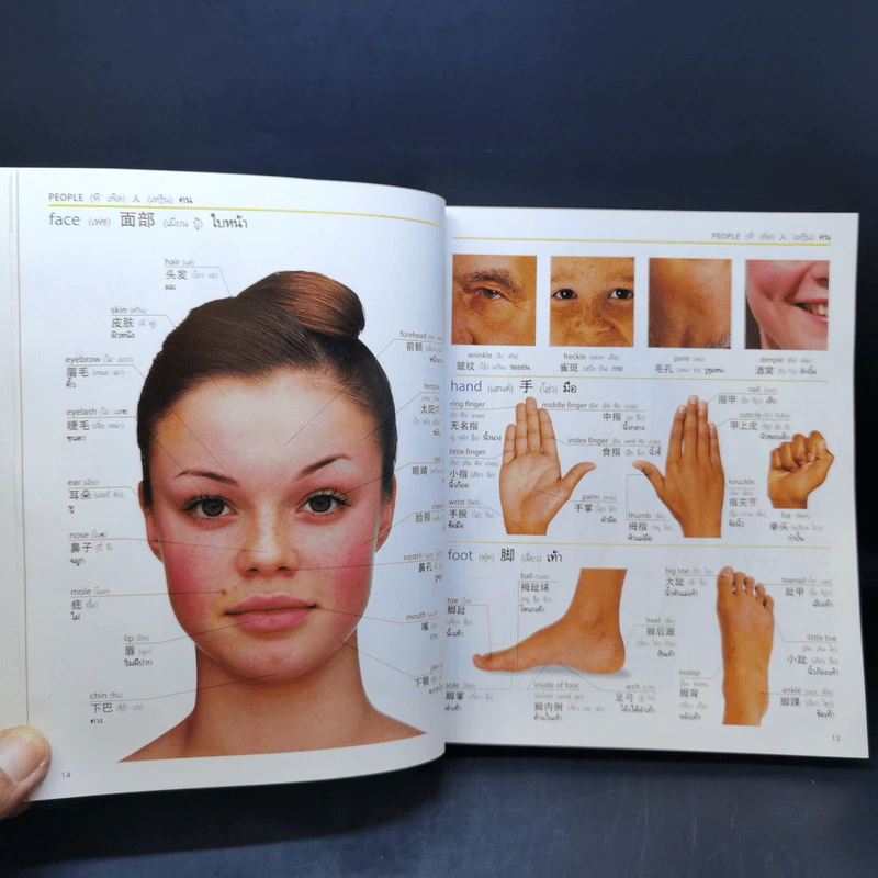 Visual Dictionary English-Chinese-Thai พจนานุกรมภาพถ่าย 3 ภาษา อังกฤษ-จีน-ไทย ฉบับสมบูรณ์ รูปที่ 13
