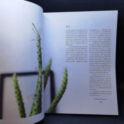 Everyday with Plants ทุกวันมีต้นไม้ - ศิริวิทย์ ริ้วบำรุง, จาตุรงค์ ขุนกอง รูปที่ 6