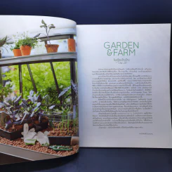 บ้านและสวน Garden & Farm โรงเรือนข้างบ้าน เปลี่ยนมุมสวนเป็นมุมสะสม (ต้นไม้) รูปที่ 10