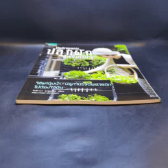 Hydroponic ปลูกผักด้วยน้ำแบบง่าย - โยชิกาว่า ยาสุมาสะ รูปที่ 4