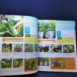 Hydroponic ปลูกผักด้วยน้ำแบบง่าย - โยชิกาว่า ยาสุมาสะ รูปที่ 15