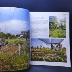 บ้านและสวน Garden & Farm เกษตรในเมือง รูปที่ 12