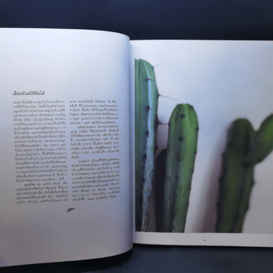 Everyday with Plants ทุกวันมีต้นไม้ - ศิริวิทย์ ริ้วบำรุง, จาตุรงค์ ขุนกอง รูปที่ 9