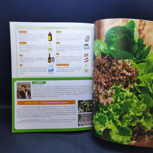 Hydroponic ปลูกผักด้วยน้ำแบบง่าย - โยชิกาว่า ยาสุมาสะ รูปที่ 16