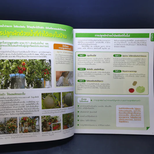 Hydroponic ปลูกผักด้วยน้ำแบบง่าย - โยชิกาว่า ยาสุมาสะ รูปที่ 11