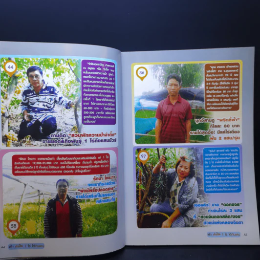 ผักทำเงิน 1 ไร่ ได้เกินแสน รูปที่ 9