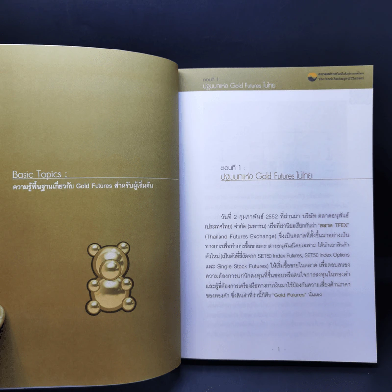 กลยุทธ์เด็ด เคล็ดการลงทุนใน Gold Futures - ภาคภูมิ ภาคย์วิศาล รูปที่ 12