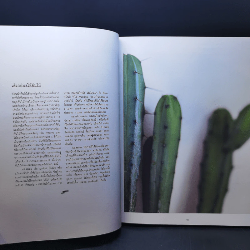 Everyday with Plants ทุกวันมีต้นไม้ - ศิริวิทย์ ริ้วบำรุง, จาตุรงค์ ขุนกอง รูปที่ 9