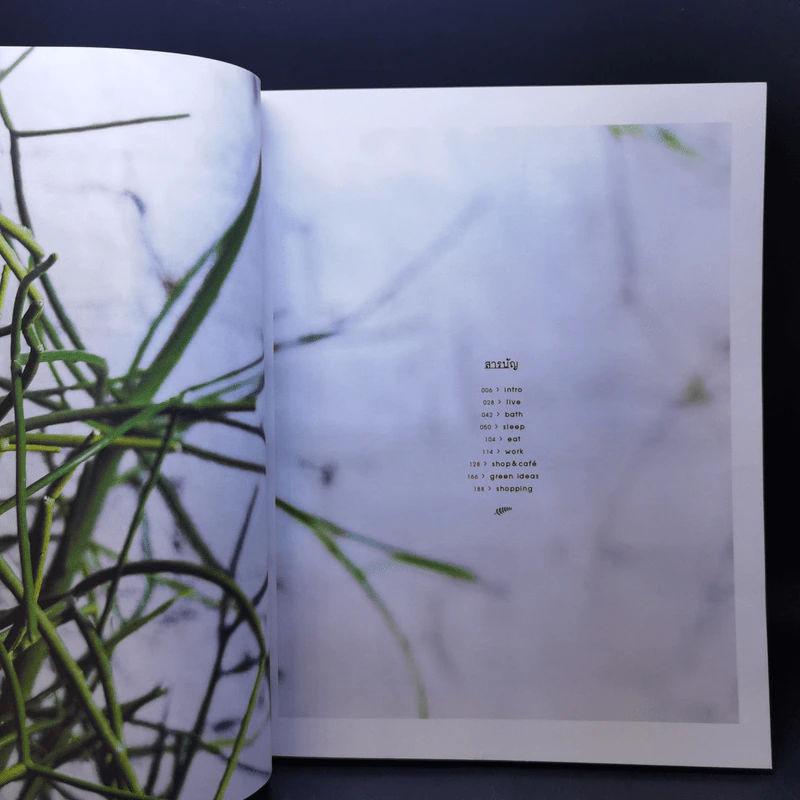 Everyday with Plants ทุกวันมีต้นไม้ - ศิริวิทย์ ริ้วบำรุง, จาตุรงค์ ขุนกอง รูปที่ 7