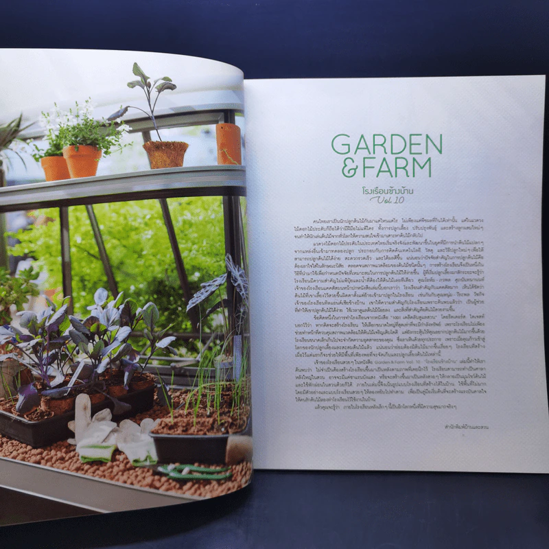 บ้านและสวน Garden & Farm โรงเรือนข้างบ้าน เปลี่ยนมุมสวนเป็นมุมสะสม (ต้นไม้) รูปที่ 10
