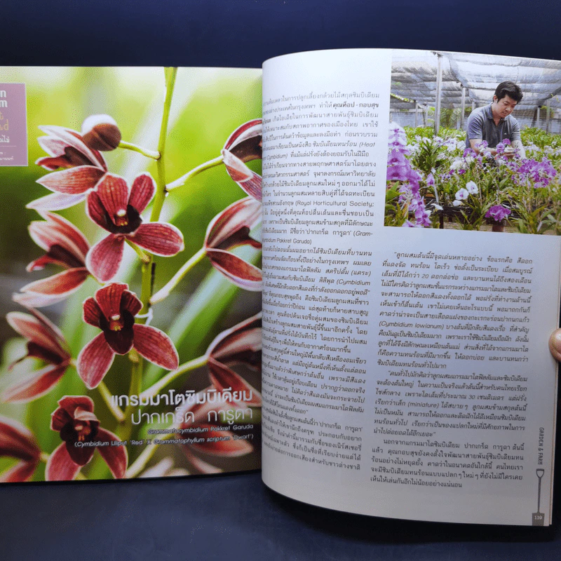บ้านและสวน Garden & Farm อยู่อย่างเพียงพอด้วยเศรษฐกิจพอเพียง รูปที่ 12