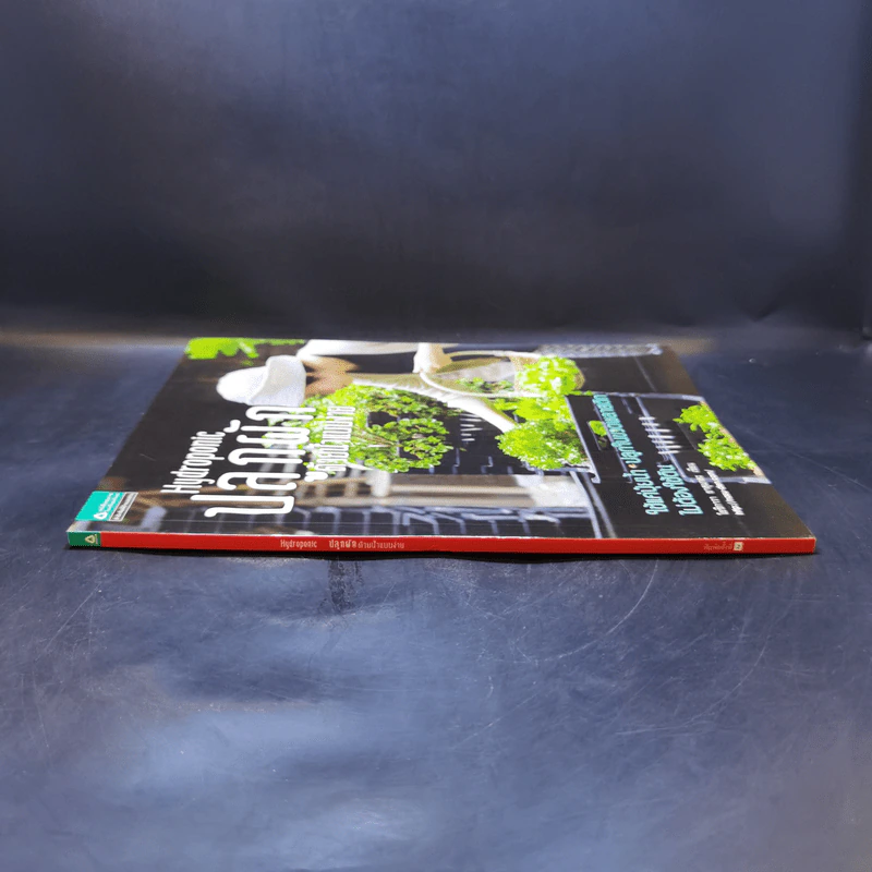 Hydroponic ปลูกผักด้วยน้ำแบบง่าย - โยชิกาว่า ยาสุมาสะ รูปที่ 3