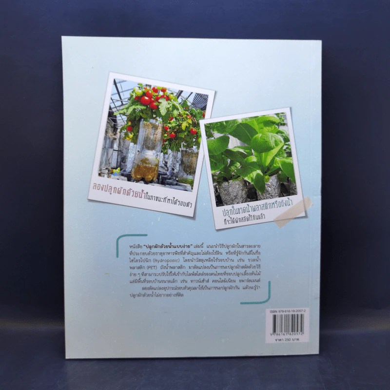 Hydroponic ปลูกผักด้วยน้ำแบบง่าย - โยชิกาว่า ยาสุมาสะ รูปที่ 2