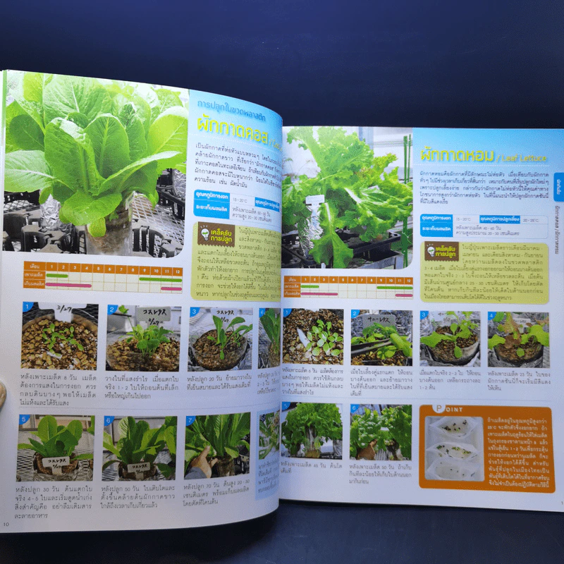 Hydroponic ปลูกผักด้วยน้ำแบบง่าย - โยชิกาว่า ยาสุมาสะ รูปที่ 14
