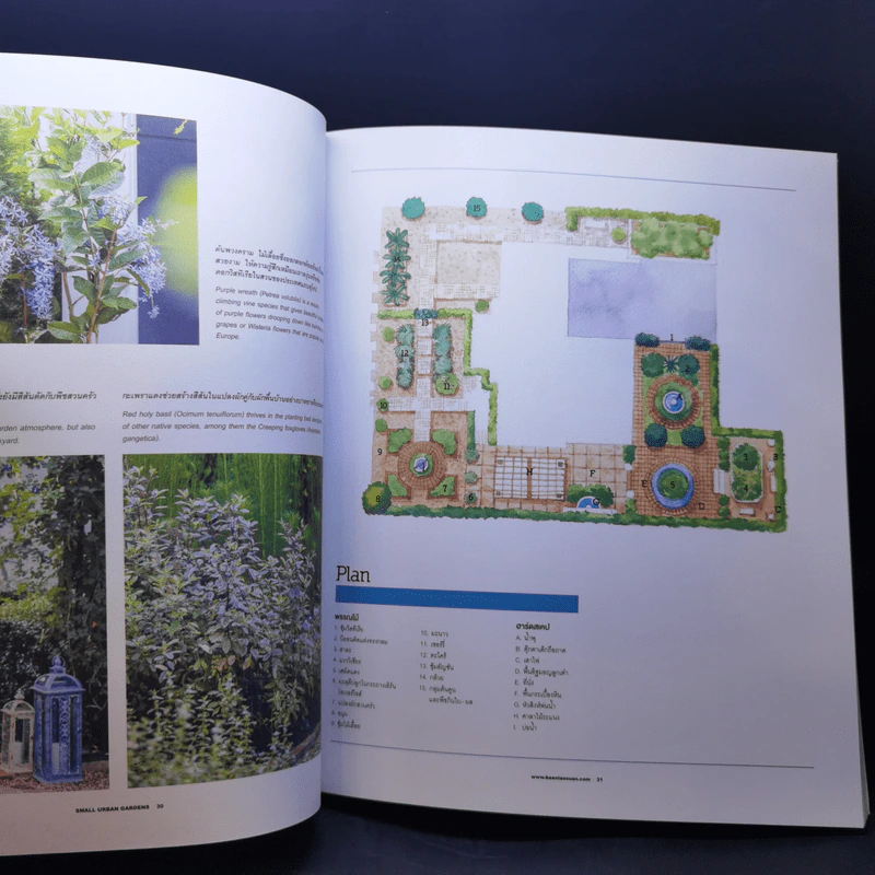 บ้านและสวน ฉบับพิเศษ 2019/1 Small Urban Gardens รูปที่ 14