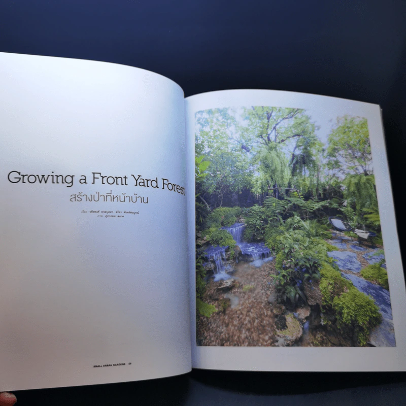 บ้านและสวน ฉบับพิเศษ 2019/1 Small Urban Gardens รูปที่ 16