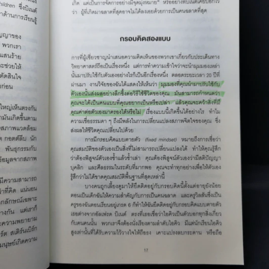 Mindset ใช้ความคิดเอาชนะโชคชะตา - Carol S.Dweck รูปที่ 13
