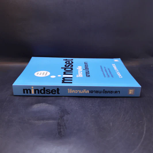 Mindset ใช้ความคิดเอาชนะโชคชะตา - Carol S.Dweck รูปที่ 3