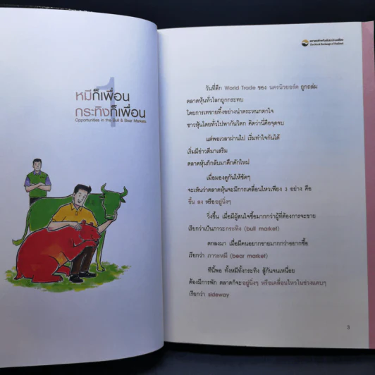ยุทธศาสตร์หุ้นห่านทองคำ - เทพ รุ่งธนาภิรมย์ รูปที่ 13