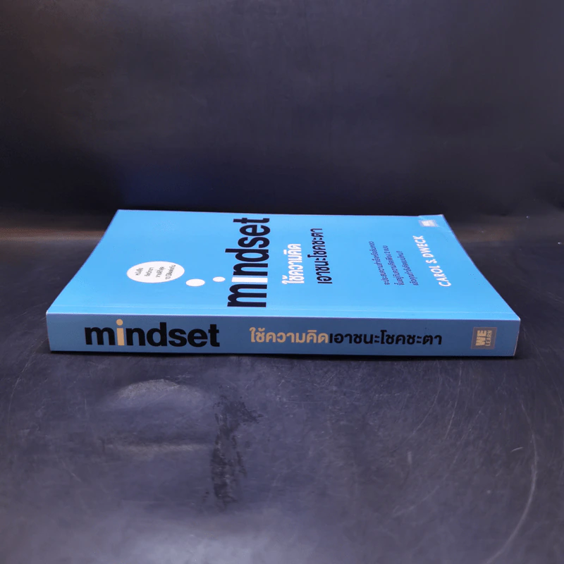 Mindset ใช้ความคิดเอาชนะโชคชะตา - Carol S.Dweck รูปที่ 3