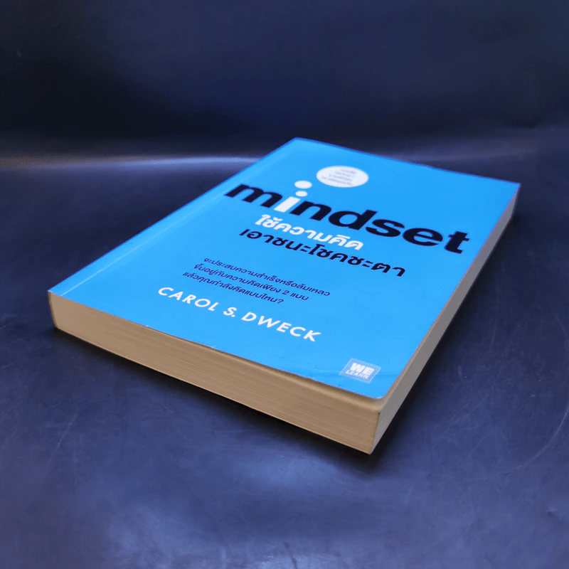 Mindset ใช้ความคิดเอาชนะโชคชะตา - Carol S.Dweck รูปที่ 7