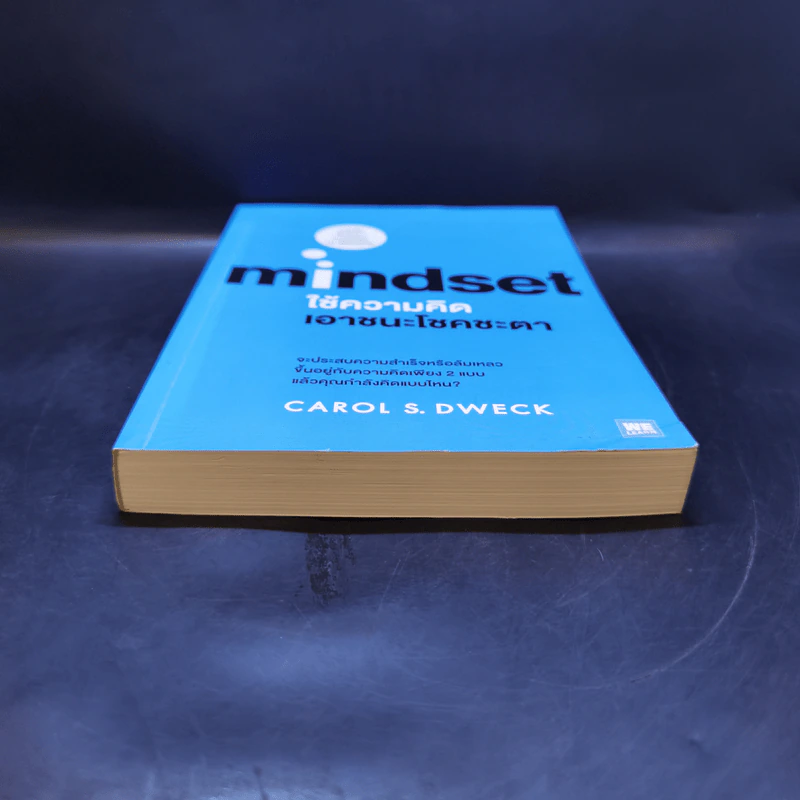 Mindset ใช้ความคิดเอาชนะโชคชะตา - Carol S.Dweck รูปที่ 4