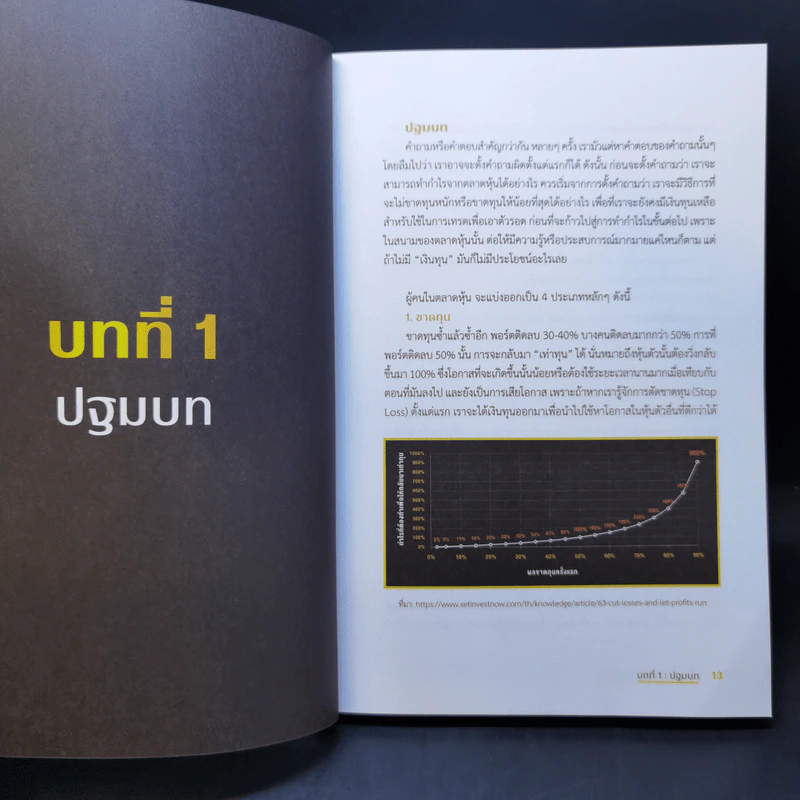 ปั้นพอร์ตทะลุล้าน How to Make Millions from Stock - สรัช จันทร์บูรณะพินิจ รูปที่ 10