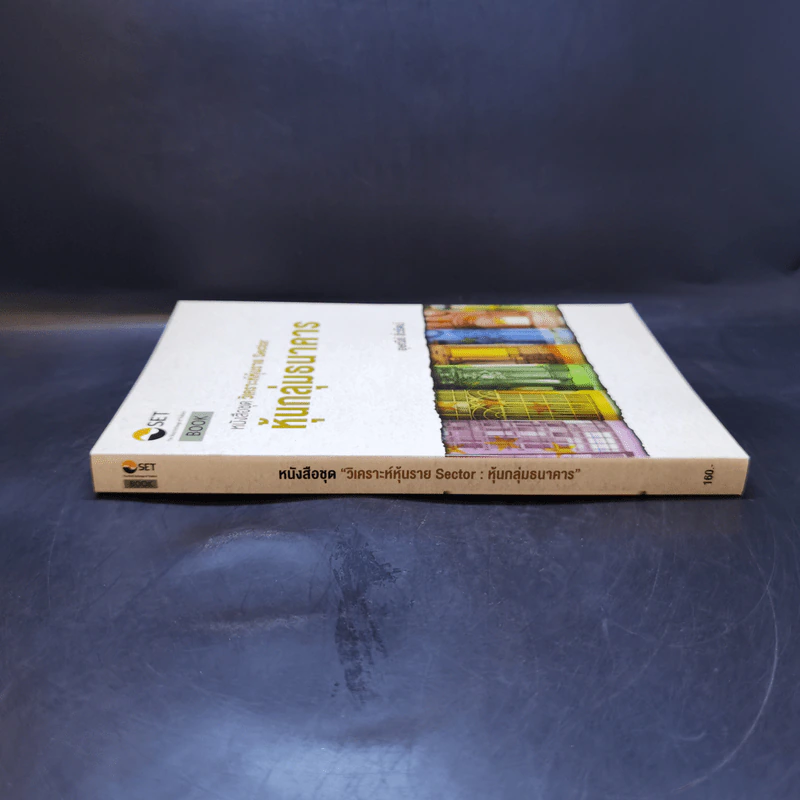 หนังสือชุดวิเคราะห์หุ้นราย Sector หุ้นกลุ่มธนาคาร - อุษณีย์ ลิ่วรัตน์ รูปที่ 3