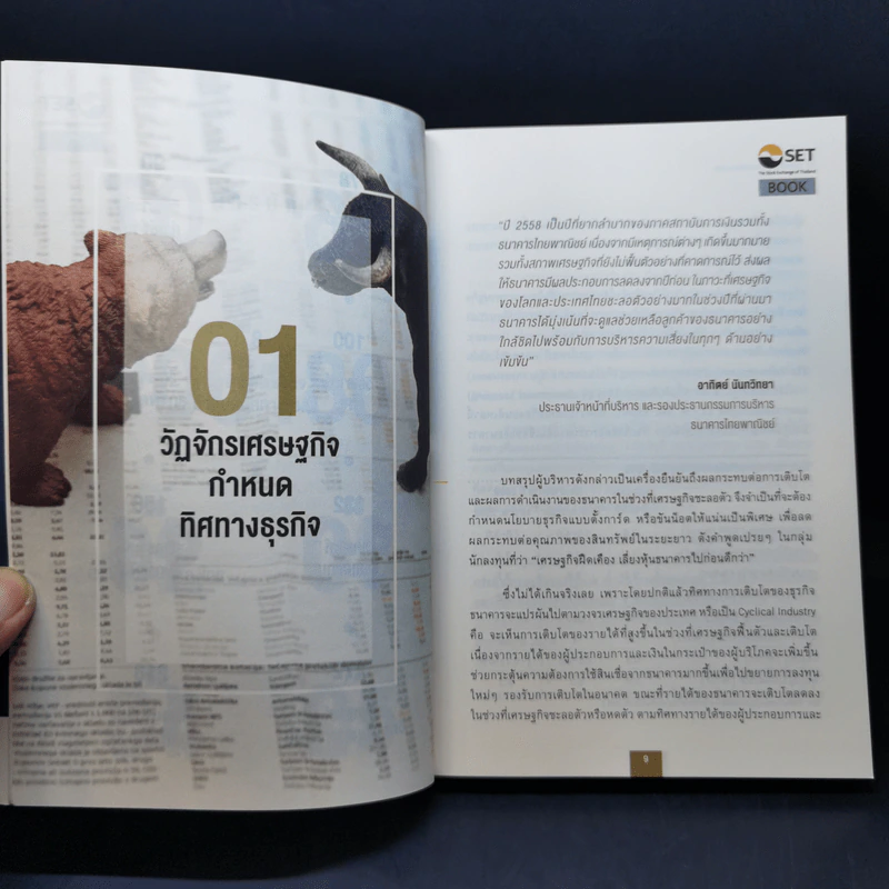 หนังสือชุดวิเคราะห์หุ้นราย Sector หุ้นกลุ่มธนาคาร - อุษณีย์ ลิ่วรัตน์ รูปที่ 12